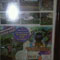 Funky Fashions Store
